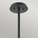 Подвесной светильник QN-LOTUS-P-BLK. Бренд: Hinkley. Подвесные светильники
