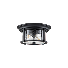 Потолочный фонарь FE-MERRILL-F-BLK, Потолочные фонари Классический/Неоклассический/Прованс/Английский | Сталь | Черный Прозрачный.